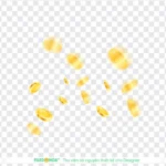 Gold coin png transparent background đồng xu vàng nền trong suốt 2086