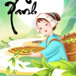 Banner of tea hill and girl picking tea đồi chè hái chè cô gái trà