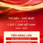 Red real estate banner with gold letters bất động sản màu đỏ chữ vàng