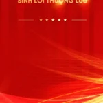 Red real estate banner with gold letters background bất động sản màu đỏ chữ vàng 16012026