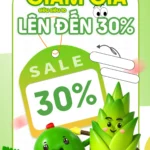 Green banner food deals màu xanh lá ưu đãi thực phẩm