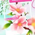 Spring banner for cherry blossom viewing mùa xuân du lịch ngắm hoa đào