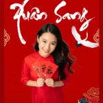 New Year banner with red background tết năm mới nền màu đỏ