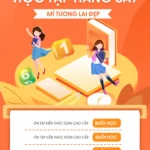 Orange banner for girls’ school màu cam học đường nữ sinh