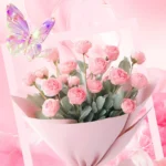 Pink background bouquet of roses màu hồng bó hoa hồng