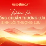Background red wallpaper backdrop hình nền màu đỏ