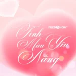 Pink love valentine background màu hồng tình yêu