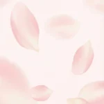 Pink background nền màu hồng