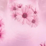 Pink background nền màu hồng