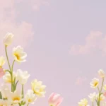 Light pink flower and cloud background studio photo Ảnh nền hoa và mây hồng nhẹ chụp studio