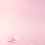 Pink flowers on water wallpaper Ảnh nền hoa màu hồng trên mặt nước