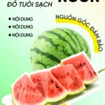 Green food background banner phong nền ẩm thực màu xanh lá