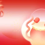 background psd năm mới đánh trống màu đỏ 20122025