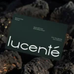 Business Card Mockup on Rocks