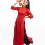 Model tết năm mới stock photo 26122025m