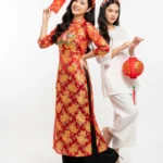 Model tết năm mới stock photo 26122025b