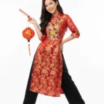 Model tết năm mới stock photo 26122025a