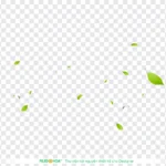 Png chiếc lá nền trong suốt 06012026g