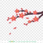 Png hình hoa đào nền trong suốt 06012026b
