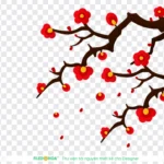 Png hình hoa đào nền trong suốt 06012026d