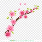 Hoa đào tết vector 03012026