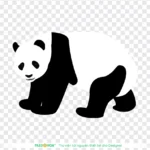Vector gấu trúc nền trong suốt 03012026
