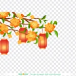 Png đèn lòng và hoa lanterns and flowers 10022026