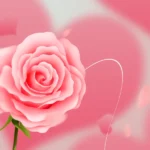 Psd background trái tim màu hồng bông hoa hồng pink heart and rose flowers. 9529