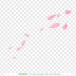 Psd cánh hoa đào nền trong suốt cherry blossom petals with a transparent background 10844