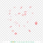 Psd cánh hoa đào nền trong suốt cherry blossom petals with a transparent background 10847