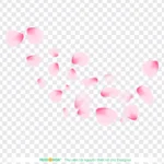 Psd cánh hoa đào nền trong suốt cherry blossom petals with a transparent background 10853