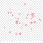 Psd cánh hoa đào nền trong suốt cherry blossom petals with a transparent background 10856