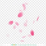 Psd cánh hoa đào nền trong suốt cherry blossom petals with a transparent background 10865