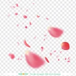 Psd cánh hoa đào nền trong suốt cherry blossom petals with a transparent background 10868