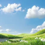 Jpg bãi cỏ trời xanh mây trắng hoa cúc trắng grassy field, blue sky, white clouds, and white daisies. 10243