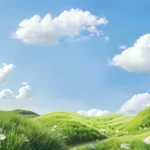 Jpg bãi cỏ trời xanh mây trắng hoa cúc trắng grassy field, blue sky, white clouds, and white daisies. 10246