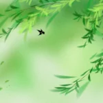 Psd mùa xuân hoa đào Spring cherry blossom 10408