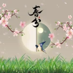 Psd mùa xuân hoa đào Spring cherry blossom 10411