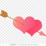Png trái tim nền trong suốt heart with transparent background 11529