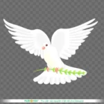 Png chim bồ câu trắng nền trong suốt white dove on a transparent background 14161
