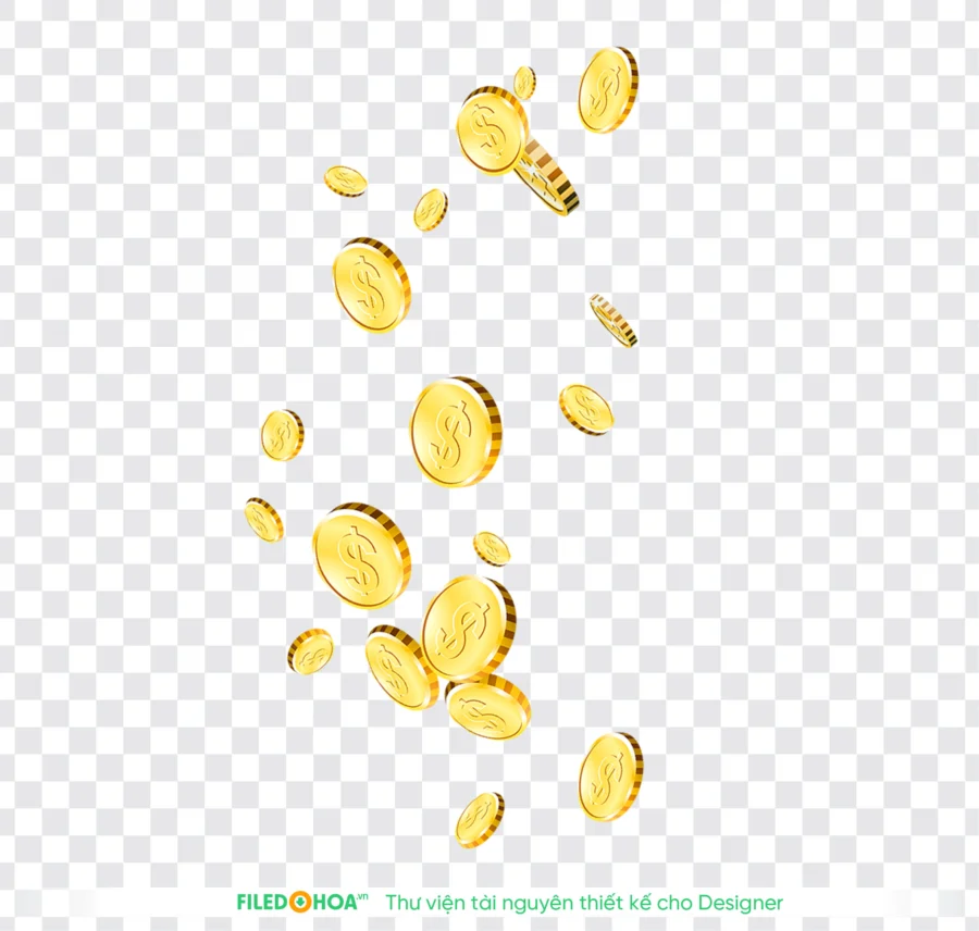 Đồng xu - Coin - Tiền