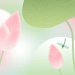 Psd hình nền hoa sen Lotus flower wallpaper 14925