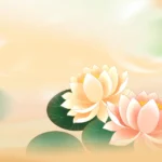 Psd hình nền hoa sen Lotus flower wallpaper 14928