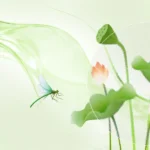 Psd hình nền hoa sen Lotus flower wallpaper 14934