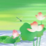 Psd hình nền hoa sen Lotus flower wallpaper 14940