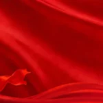 Psd background màu đỏ red 17444