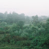 Thương Vũ